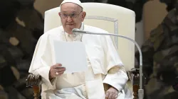 Le pape François s'adresse aux pèlerins rassemblés dans la salle d'audience Paul VI au Vatican lors de l'audience générale du mercredi 7 août 2024. / 