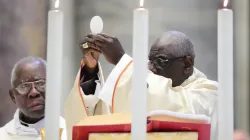 Le cardinal Robert Sarah offre la messe dans la basilique Saint-Pierre pour son 50e anniversaire de prêtrise en 2019. | Crédit : Evandro Inetti/CNA. / 