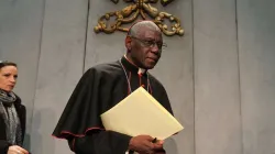 Le cardinal Robert Sarah. / Bohumil Petrik/CNA.