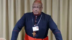 Le cardinal Wilfrid Fox Napier, archevêque de Durban et président de Caritas Afrique du Sud. / Domaine public.