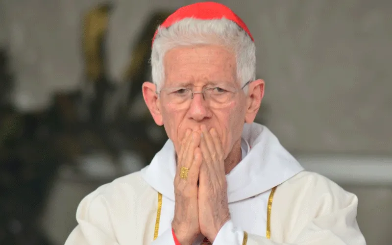 Le cardinal Maurice Piat, évêque du diocèse de Port Louis à Maurice, pendant la messe marquant la fête des vocations du diocèse, le 2 août. Diocèse de Port Louis/ Facebook