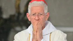 Le cardinal Maurice Piat, évêque du diocèse de Port Louis à Maurice, pendant la messe marquant la fête des vocations du diocèse, le 2 août. / Diocèse de Port Louis/ Facebook