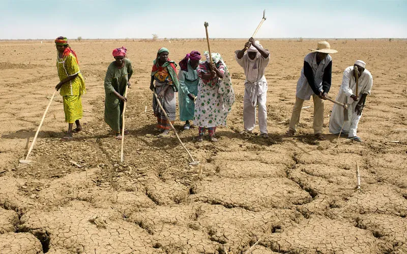 La sécheresse sévit en Afrique de l'Est depuis plus de cinq ans. Crédit : Caritas Internationalis