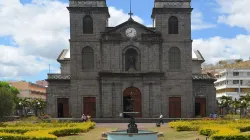 La cathédrale Saint-Louis dans le diocèse de Port-Louis, à l'île Maurice. / Domaine public