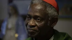 Le cardinal Peter Turkson, préfet du Dicastère pour la promotion du développement humain intégral, photographié le 19 janvier 2020. / Daniel Ibáñez/CNA.