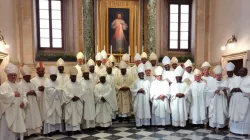 Les membres de la Conférence des évêques catholiques d'Afrique australe (SACBC). Crédit : SACBC / 