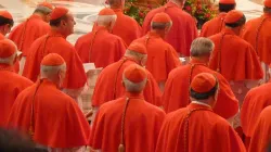 Les cardinaux réunis dans la basilique Saint-Pierre pour un consistoire, le 4 novembre 2012. / Lewis Ashton Glancy/CNA.