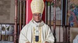 Mgr Alfred Adewale Martins, archevêque de l'archidiocèse de Lagos. Crédit : Archidiocèse de Lagos / 