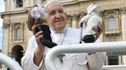 Le pape François lors de l'audience générale sur la place Saint-Pierre, le 25 octobre 2023. | Crédit : Vatican Media / 