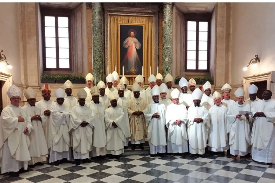 Les membres de la Conférence des évêques catholiques d'Afrique australe (SACBC). Crédit : SACBC