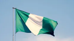 Drapeau du Nigeria / Labrador Photo/Shutterstock