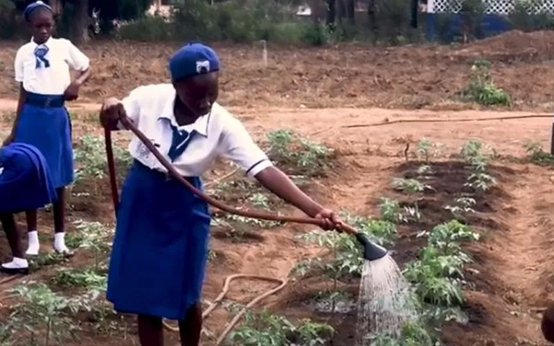 Les Salésiens de Lungi, en Sierra Leone, créent un Club Climatique pour se concentrer sur l'éducation environnementale des jeunes. Crédit : Missions salésiennes