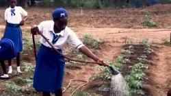 Les Salésiens de Lungi, en Sierra Leone, créent un Club Climatique pour se concentrer sur l'éducation environnementale des jeunes. Crédit : Missions salésiennes / 