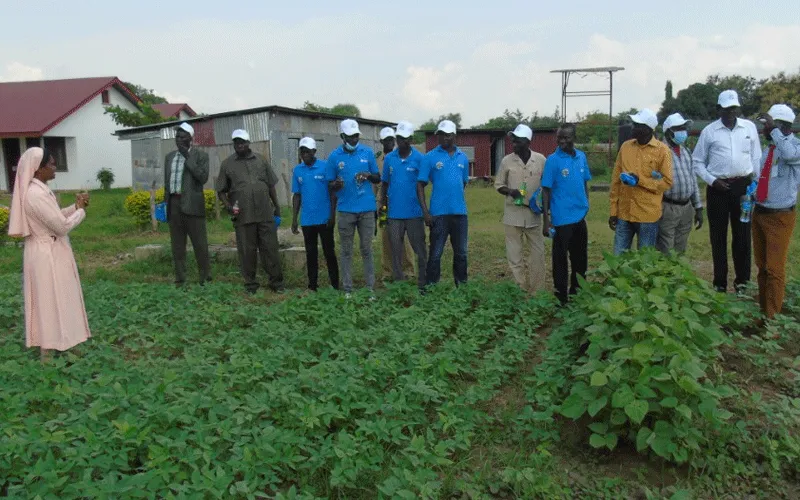 Des agriculteurs reçoivent une formation sur les nouvelles méthodes agricoles dans une ferme de démonstration gérée par les Filles de Marie Immaculée (FMI) et leurs collaborateurs dans la capitale du pays, Juba. ACI Afrique