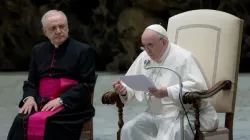 L'audience générale du Pape François dans la salle Paul VI au Vatican, le 19 janvier 2021. Daniel Ibáñez/CNA. / 