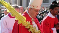 Le Pape François au Vatican le dimanche des Rameaux. / Bohumil Petrik / ACI Afrique