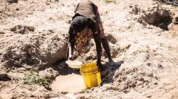 La sécheresse prolongée en Zambie a provoqué une crise alimentaire. / Caritas Zambie